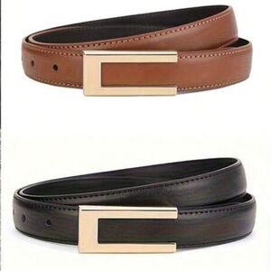 Brown and Black Belt with Gold Buckle